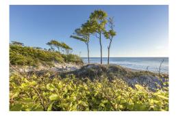 Mecklenburg-Vorpommern