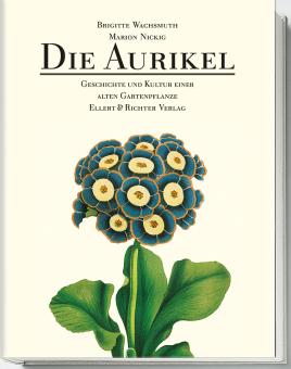 Die Aurikel 